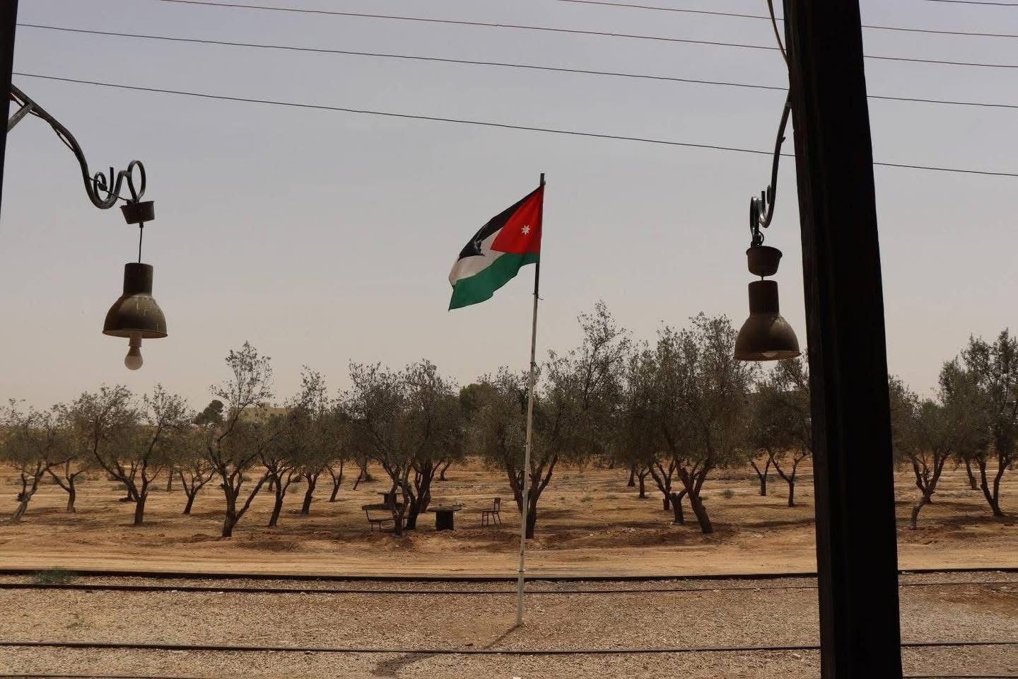 ١١